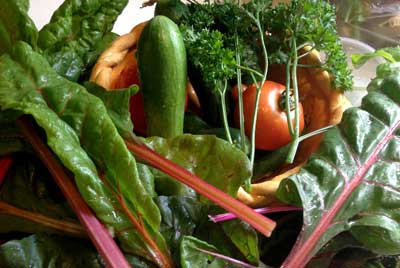 Garden Vegetables