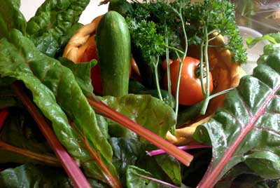 Garden Vegetables